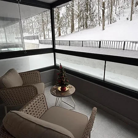 Apartment Alpha
